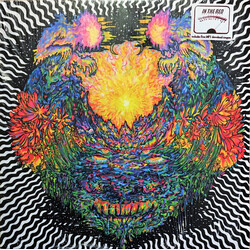 Meatbodies Meatbodies Vinyl LP USED