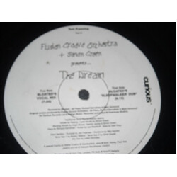 Fusion Groove Orchestra / Simon Green The Dream VINYL 12" USED