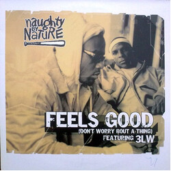 Naughty By Nature / 3LW Feels Good (Don't Worry Bout A Thing) Vinyl 12" USED
