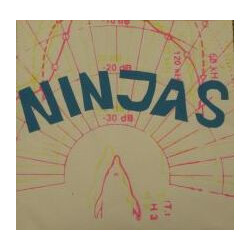 The Ninjas (2) Ninjas Vinyl 12" USED