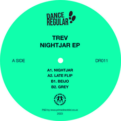 Trev (10) Nightjar EP Vinyl 12" USED