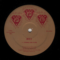 Walter Hill Eternal Love USED VINYL 12INCH 33 S RPM