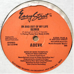 Adeva In And Out Of My Life (Remix) VINYL 12" USED