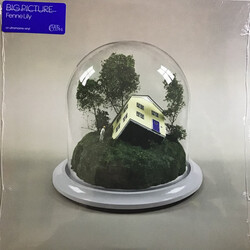 Fenne Lily Big Picture Vinyl LP USED