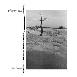 Five Or Six Polar Exposure USED VINYL 12INCH 45 RPM 33 S RPM