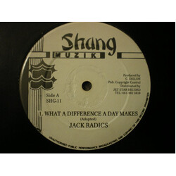 Jack Radics What A Difference A Day Makes Vinyl 12" USED