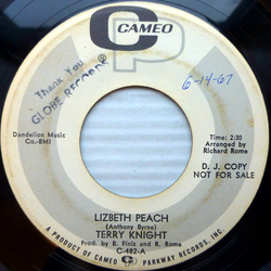 Terry Knight Lizbeth Peach / Forever And A Day Vinyl 7" USED