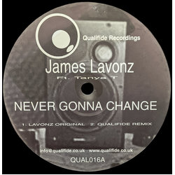 James Lavonz Never Gonna Change USED VINYL 12INCH