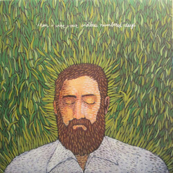 Iron And Wine Our Endless Numbered Days Vinyl LP USED