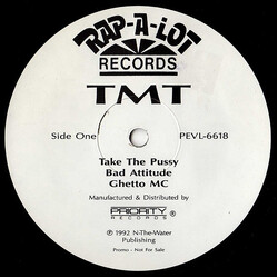 Too Much Trouble Take The Pussy USED VINYL 12INCH 33 S RPM PROMO