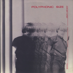 Polyphonic Size Earlier / Later Vinyl LP USED