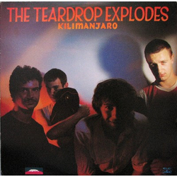 The Teardrop Explodes Kilimanjaro Vinyl LP USED
