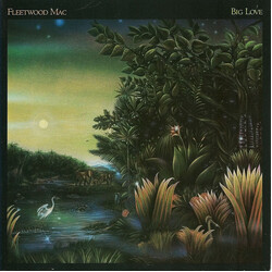 Fleetwood Mac Big Love USED VINYL 7INCH 45 RPM SINGLE