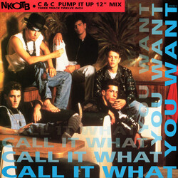 New Kids On The Block Call It What You Want VINYL 12" USED