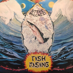 Steve Hillage Fish Rising Vinyl LP USED