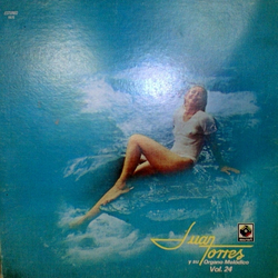 Juan Torres Organo Melodico - Vol. 24 Vinyl LP USED