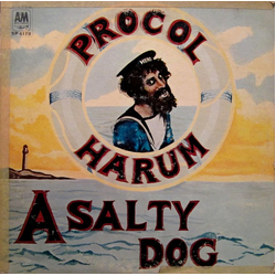 Procol Harum A Salty Dog Vinyl LP USED