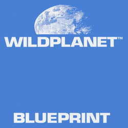 Wild Planet Blueprint Vinyl LP USED