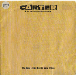 Carter The Unstoppable Sex Machine The Only Living Boy In New Cross USED VINYL 7INCH 45 RPM SINGLE