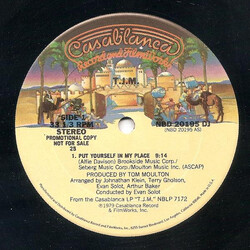 TJM Put Yourself In My Place / I Don't Need No Music USED VINYL 12INCH 33 S RPM PROMO