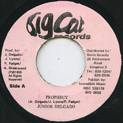Junior Delgado Prophecy Vinyl 7" USED