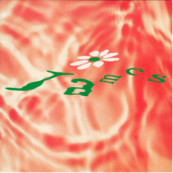 James Lose Control Vinyl 7" USED
