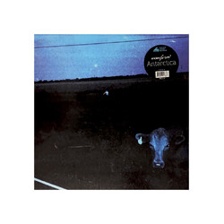 Waveform* Antarctica Vinyl LP USED