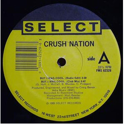 Crush Nation But. I. Was. Cool. / It's All About Money VINYL 12" USED