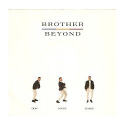 Brother Beyond How Many Times Vinyl 7" USED