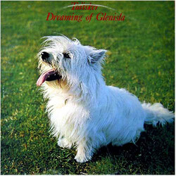 Ken Hyder's Talisker Dreaming Of Glenisla Vinyl LP USED