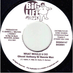 Ghost (6) / Anthony B / Beenie Man What Would U Do USED VINYL 7INCH