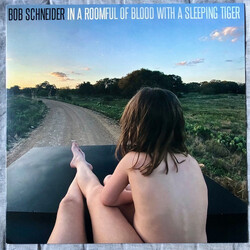 Bob Schneider In A Roomful Of Blood With A Sleeping Tiger Vinyl LP USED