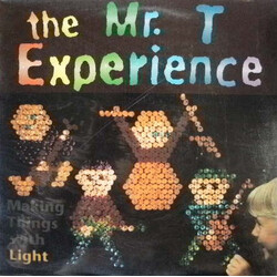 The Mr. T Experience Making Things With Light Vinyl LP USED
