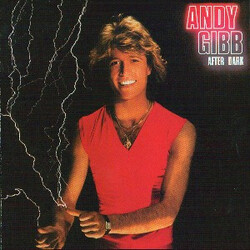 Andy Gibb After Dark Vinyl LP USED