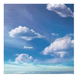 Samiam Soar Vinyl LP USED