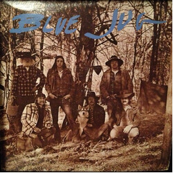 Blue Jug Blue Jug Vinyl LP USED