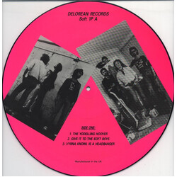 The Soft Boys Wading Through A Ventilator USED VINYL 12INCH EP PICTURE DISC