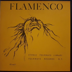 Unknown Artist Flamenco Vinyl LP USED