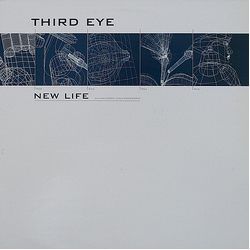 Third Eye New Life Vinyl 12" USED