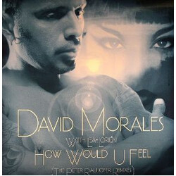 David Morales How Would U Feel (The Peter Rauhofer Remixes) USED VINYL 12INCH