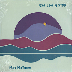 Nan Hoffman Rise Like A Star Vinyl LP USED