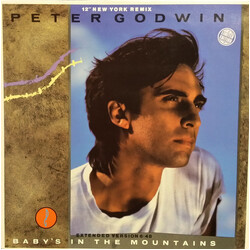 Peter Godwin Baby's In The Mountains / Soul Of Love USED VINYL 12INCH 45 RPM STEREO