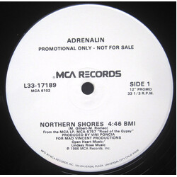 Adrenalin (10) Northern Shores USED VINYL 12INCH 33 S RPM SINGLE PROMO