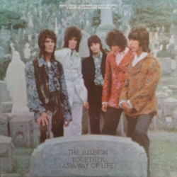 The Illusion Together (As A Way Of Life) Vinyl LP USED