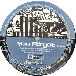 Theo Parrish You Forgot / Dirt Rhodes USED VINYL 12INCH 33 S RPM
