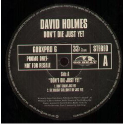 David Holmes Don't Die Just Yet USED VINYL 12INCH 33 S RPM PROMO