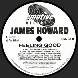 James Howard Feeling Good USED VINYL 12INCH 33 S RPM