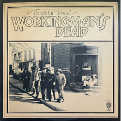 The Grateful Dead Workingman's Dead Vinyl LP USED