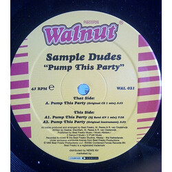 Sample Dudes Pump This Party USED VINYL 12INCH 33 S RPM 45 RPM