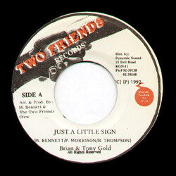 Brian & Tony Gold Just A Little Sign Vinyl 7" USED